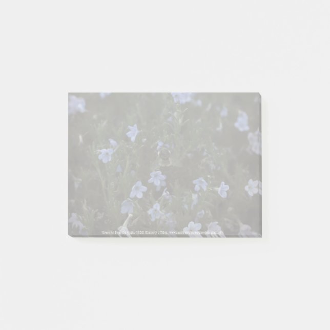 Grace for Bees Post-it Block (Framsida)