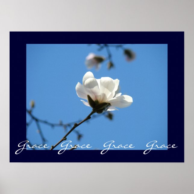 Grace Grace Grace konsttryck Blå himmel magnolia Poster (Framsidan)