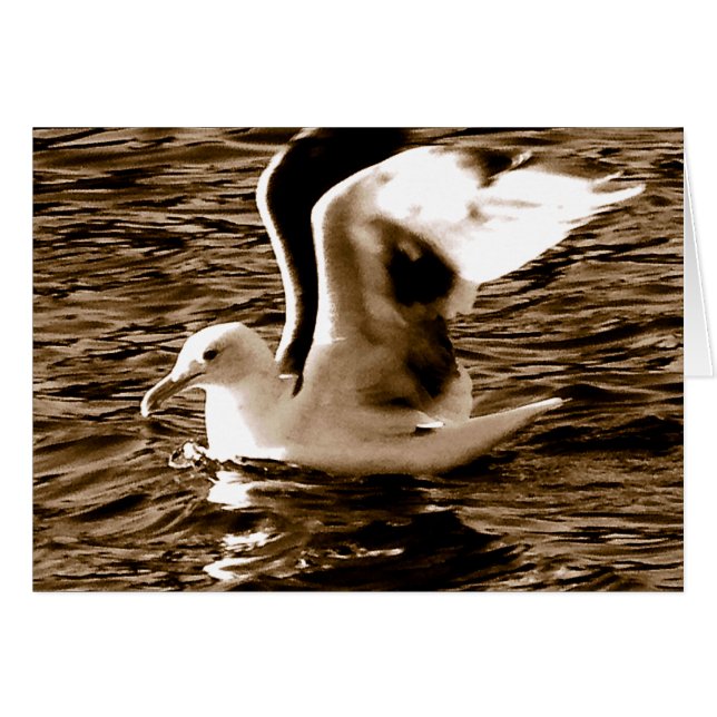 Grace_ Hälsningskort (Framsidan Horizontal)