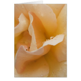 Grace har ett snyggt pekkort hälsningskort