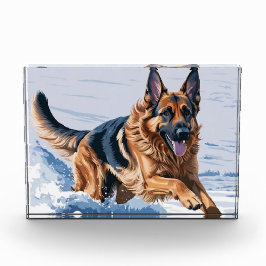 Grace i Rörelse: Alsatian vid Vatten