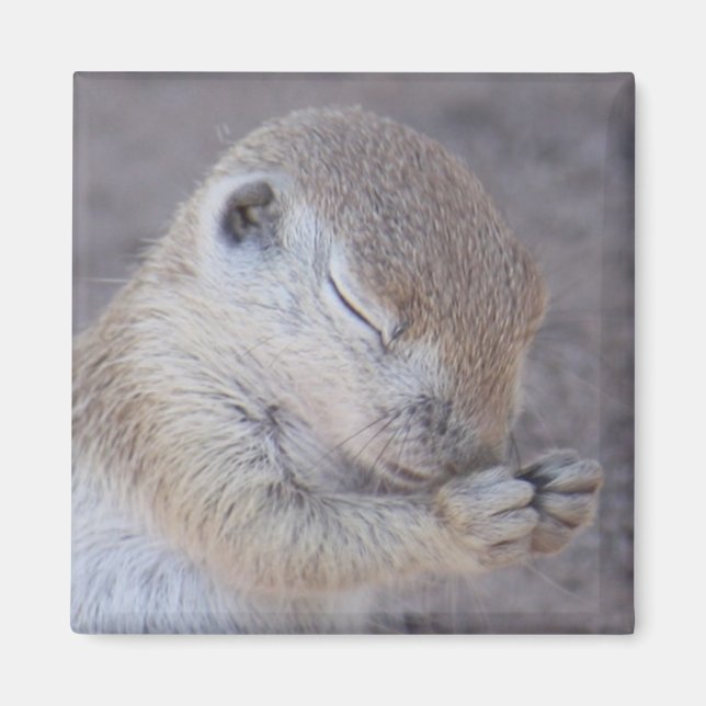 Grace Magnet (Framsidan)