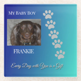 Graceful Pawprints Keepsake