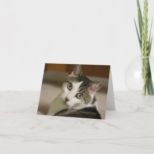 Gracey den mycket minsta tigern noterar kortet kort (Framsida)