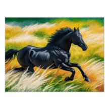 Gracful Black Horse Galloping i Vibrant Fält i