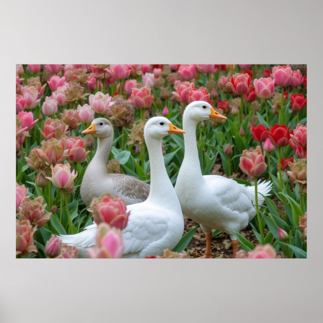 Gracful Geese in Blooming Garden Animal Lover Poster (Framsidan)