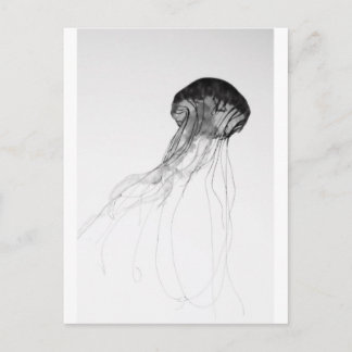 Gracful Jellyfish Vykort