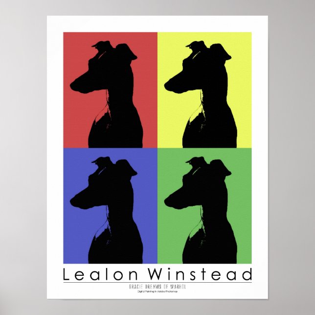 Gracie Dreams of Poster (Framsidan)