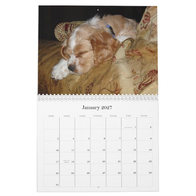 Gracie och Riley Kalender (Jan 2027)
