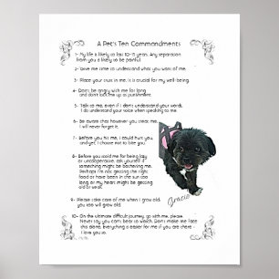 Gracie - Poster