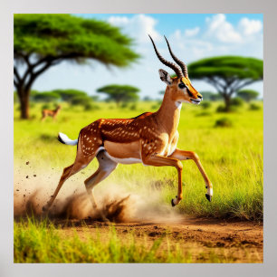 Graciös Antilop Hoppar i en Afrikansk Savann Poster