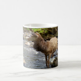Graciös Highland Ung Röd Hjort Hjort Scenisk Konst Kaffemugg