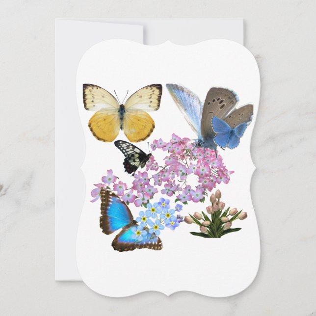 Gracious Butterflies and Flowers (Framsida)