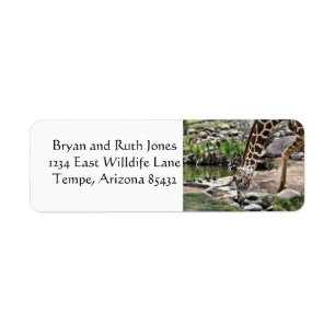 Gracious Giraffe Returadress Etikett