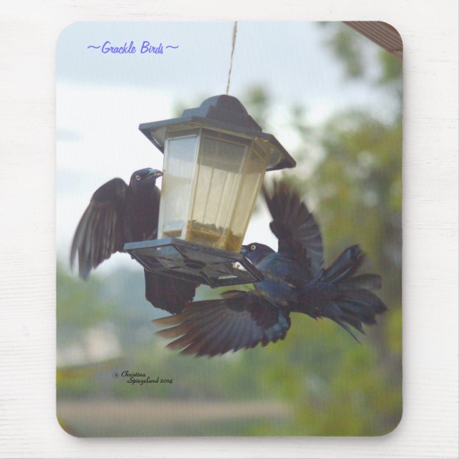 Grackelfåglar Blackbird Mousepad Musmatta (Framsidan)