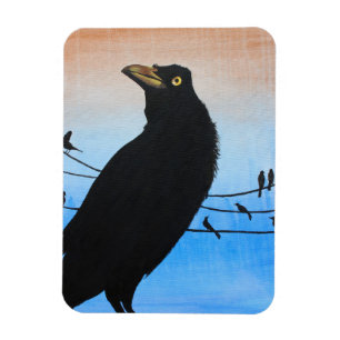 Grackle Austin Texas Fågel Natur Vilda Djur Målnin Magnet