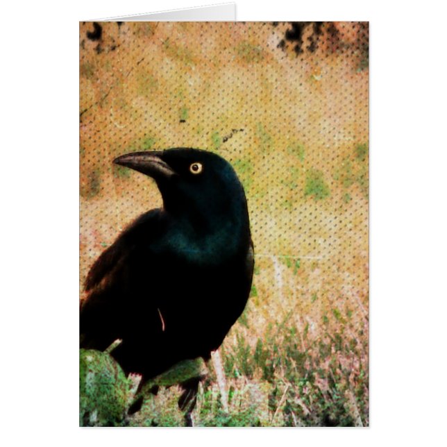 Grackle Bird Tillfällen Greeting Card Hälsningskort (Framsidan)