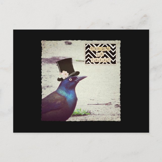 Grackle bus eller bös vykort (Framsida)