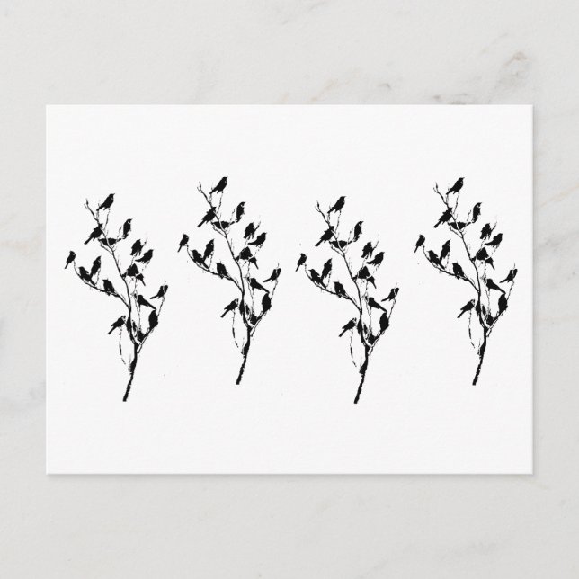 Grackle skuggar vykort (Framsida)