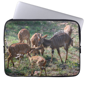 Gracnice Nyala Antelope i Afrika Laptop Fodral
