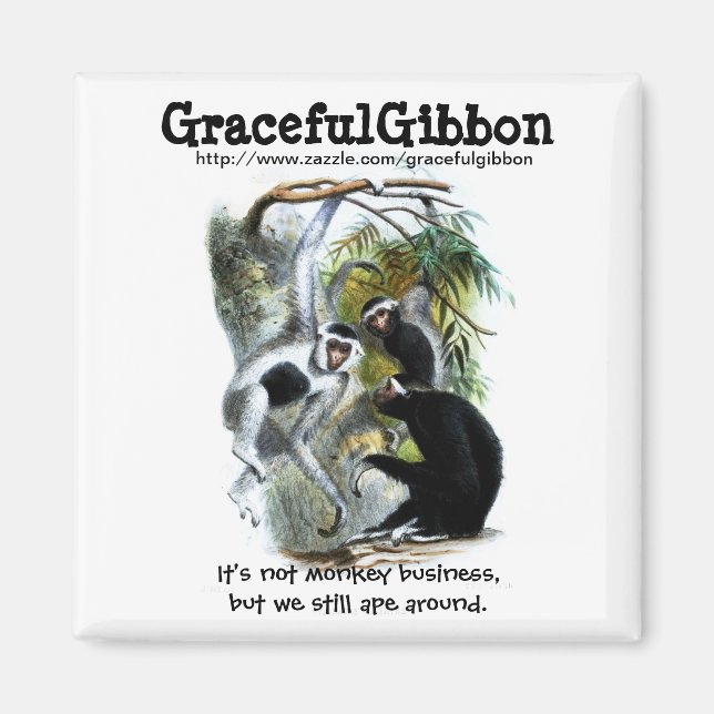 Gracustin Gibbon Magnet (Framsidan)