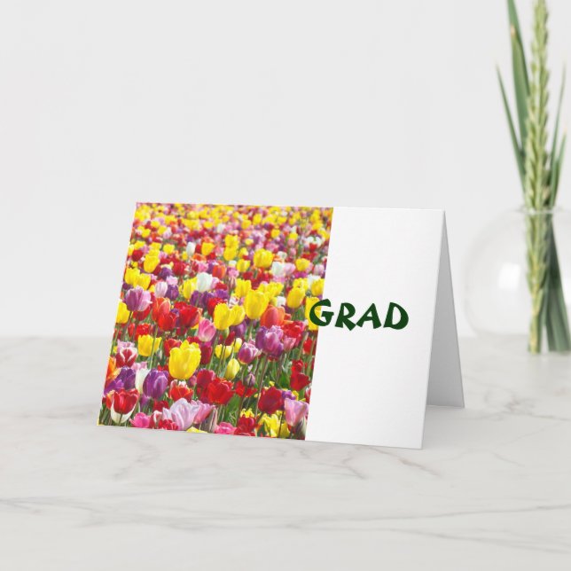 GRAD gratulationskort Tulpan Blommor Kort (Framsida)
