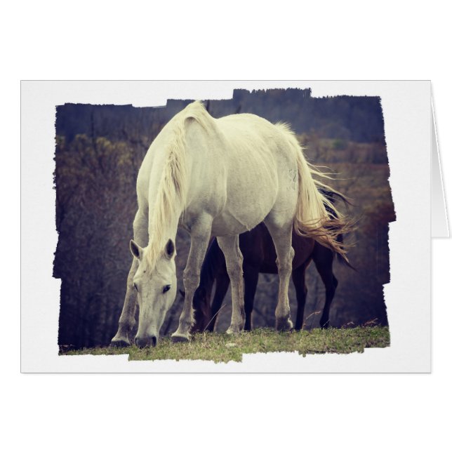 Gradera Hälsningskort (Framsidan Horizontal)