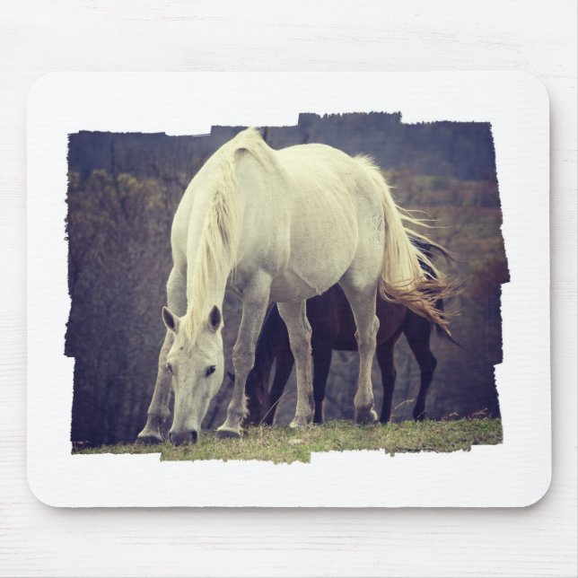 Gradera Musmatta (Framsidan)