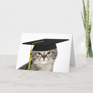 Graderande kattunge kort