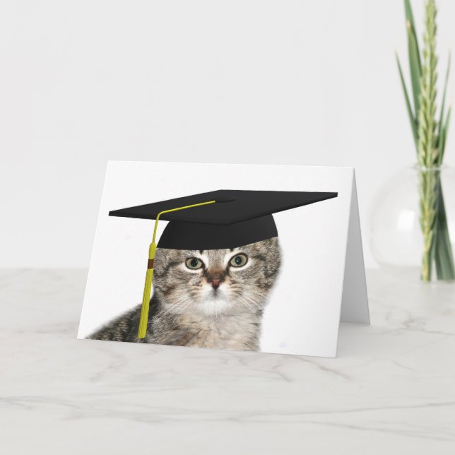 Graderande kattunge kort (Framsida)