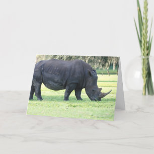 Gradering av Rhino-hälsningskort Kort