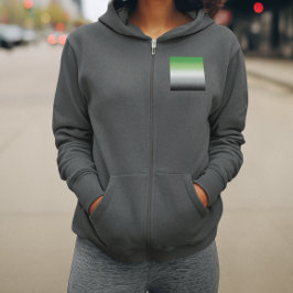 Gradient Aromantiska Flaggan – Färgglad Aromantisk T Shirt
