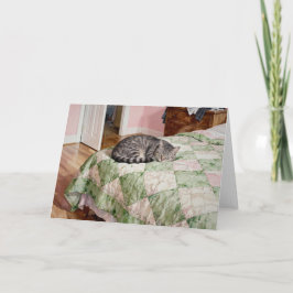 Grådräktad kattstudie D i akvarell Kort