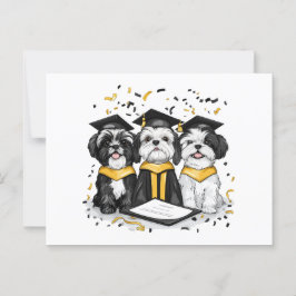 Graduerande Shih Tzu Hundar Vykort