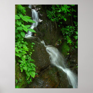 Gradvis tillväxt poster