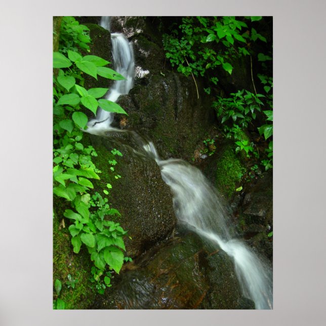 Gradvis tillväxt poster (Framsidan)