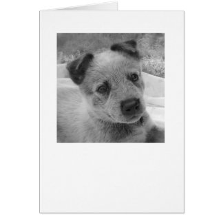 Grady Hälsningskort