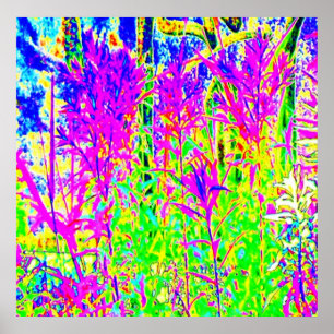 Graffiti n Plants: Humber River Toronto Poster