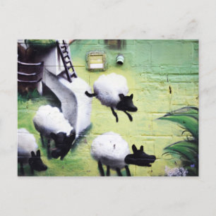 Graffiti/Street Art Sheep Jumping Vykort