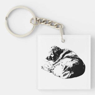 Grafisk lockig hund ger lugn på vinterresor