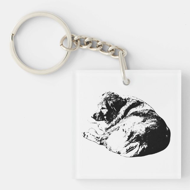 Grafisk lockig hund ger lugn på vinterresor (Framsidan)