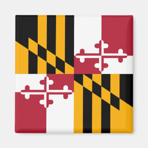Grafisk Maryland statlig flaggasnyggt Magnet