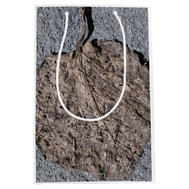 Grafisk/Strukturerad (Framsidan)