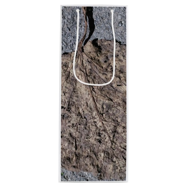 Grafisk/Strukturerad (Framsidan)