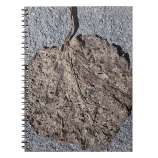 Grafisk/strukturerad Anteckningsbok