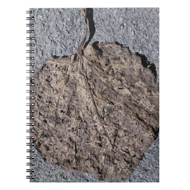 Grafisk/strukturerad Anteckningsbok (Framsidan)