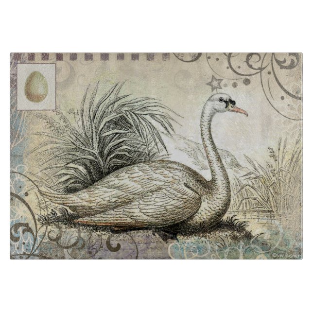 Grafisk svan (Framsidan)