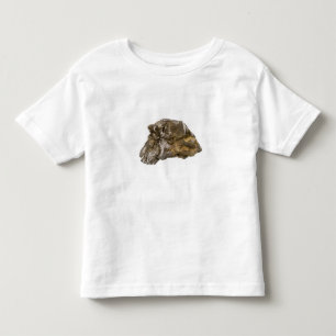 Grafit Danville, Vermont, USA T Shirt