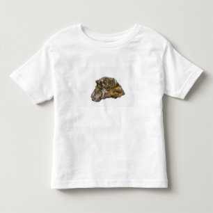 Grafit Danville, Vermont, USA T-shirt