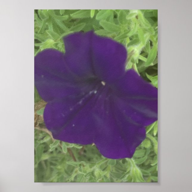 gråförendagen Blommig tryck (Framsidan)
